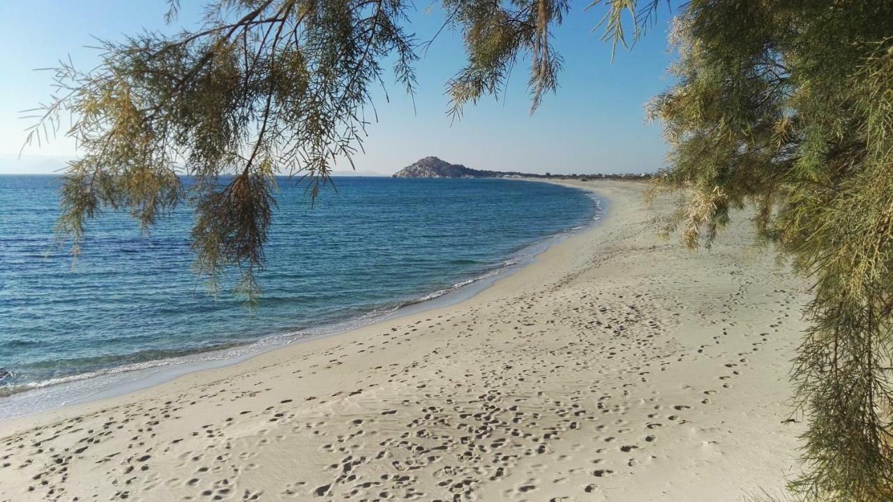 Naxos Is The Way Apartamento Kastrákion Exterior foto